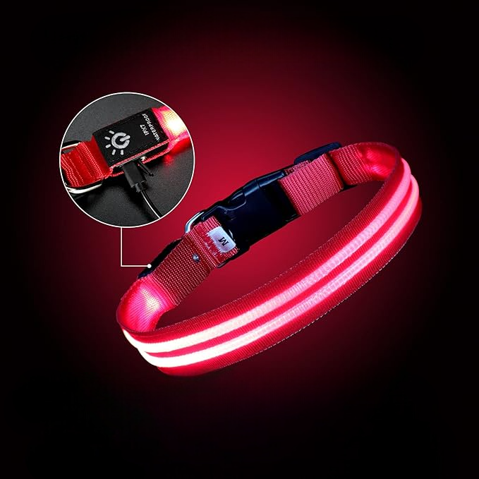 LED Collar Dog- Rose Collier LED Lumineux pour Chien