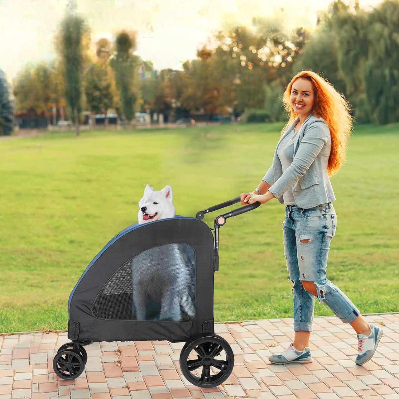 Strolly Pet - Bleu Poussette de Transport pour Chien