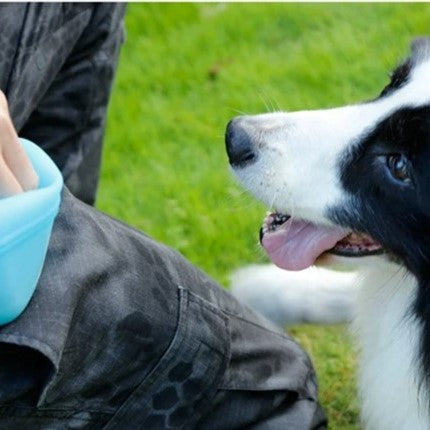 Treat Snack - Bleu Distributeur de Friandises pour Chien